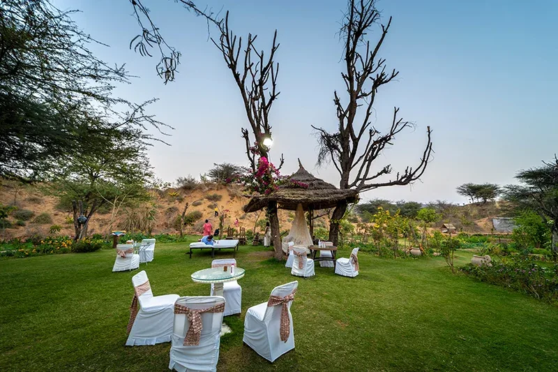 Lohagarh Fort Resort: A True Destination Wedding on Jaipur's Green Edge